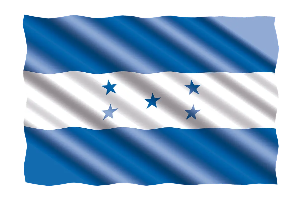 a group of people holding hands on top of a tree